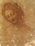 Leonardo,_testa_di_leda,_castello_sforzesco