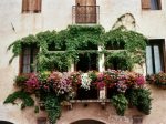 balcone fiorito