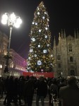 albero-natale-duomo-4
