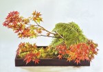 ikebana-ohara-shu-aki1