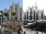 milano-palme-in-piazza-duomo
